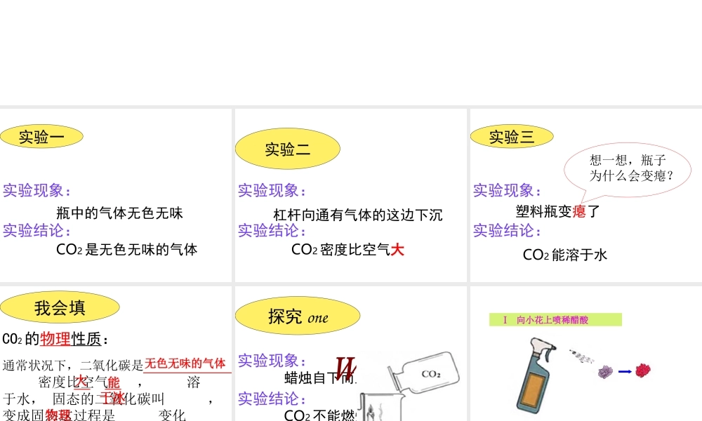 安徽省芜湖市芜湖县湾沚镇三元初级中学九年级化学上册《第六单元 二氧化碳与一氧化碳（一）》课件1 新人教版