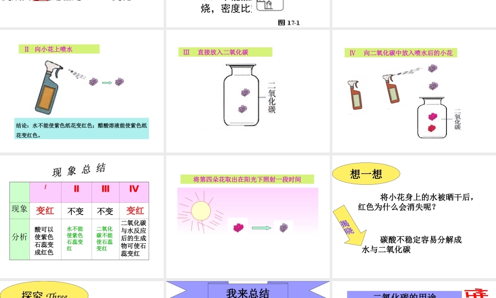安徽省芜湖市芜湖县湾沚镇三元初级中学九年级化学上册《第六单元 二氧化碳与一氧化碳（一）》课件1 新人教版
