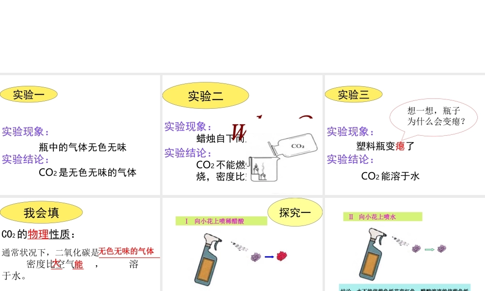 安徽省芜湖市芜湖县湾沚镇三元初级中学九年级化学上册《第六单元 二氧化碳与一氧化碳（一）》课件2 新人教版