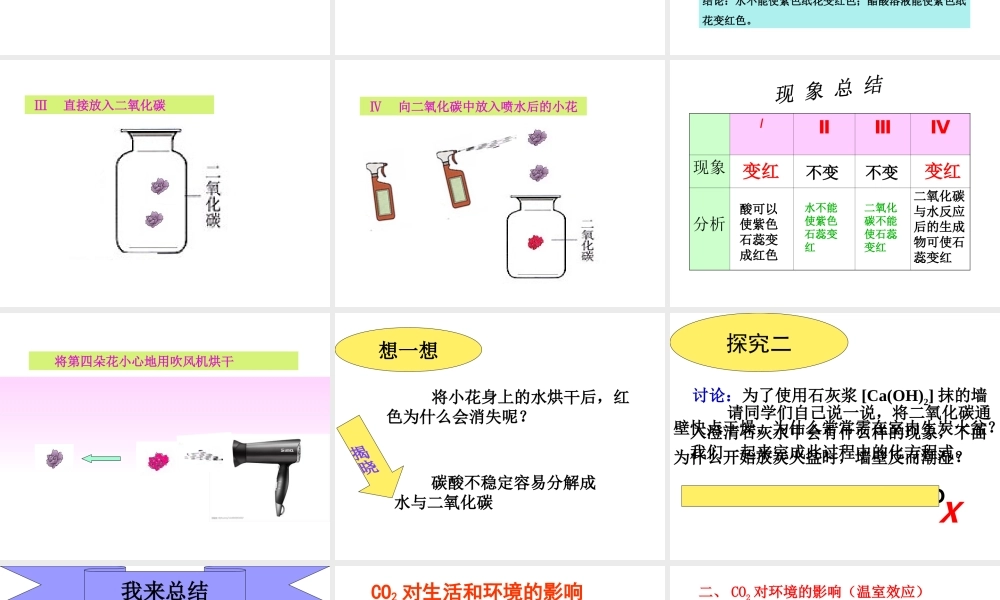 安徽省芜湖市芜湖县湾沚镇三元初级中学九年级化学上册《第六单元 二氧化碳与一氧化碳（一）》课件2 新人教版