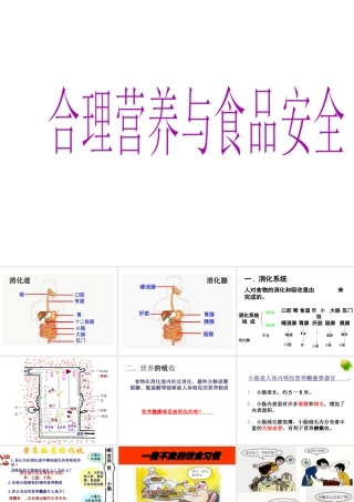 安徽省合肥市长丰县七年级生物下册 4.2.3《合理营养与食品安全》课件3 （新版）新人教版-（新版）新人教版初中七年级下册生物课件
