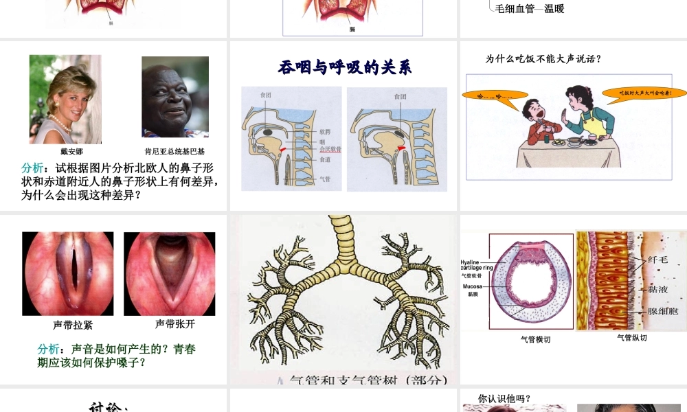 安徽省合肥市长丰县七年级生物下册 4.3.1 呼吸道对空气的处理课件1 （新版）新人教版-（新版）新人教版初中七年级下册生物课件
