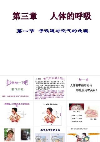 安徽省合肥市长丰县七年级生物下册 4.3.1 呼吸道对空气的处理课件1 （新版）新人教版-（新版）新人教版初中七年级下册生物课件