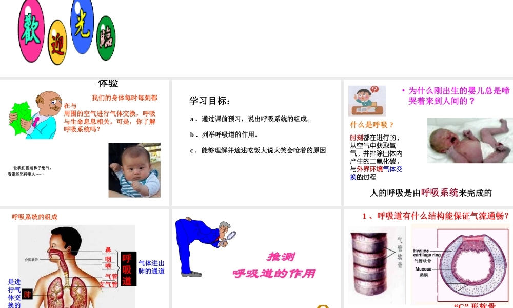 安徽省合肥市长丰县七年级生物下册 4.3.1 呼吸道对空气的处理课件2 （新版）新人教版-（新版）新人教版初中七年级下册生物课件