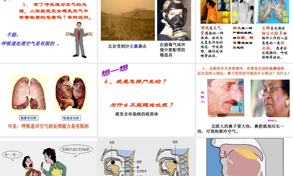 安徽省合肥市长丰县七年级生物下册 4.3.1 呼吸道对空气的处理课件2 （新版）新人教版-（新版）新人教版初中七年级下册生物课件