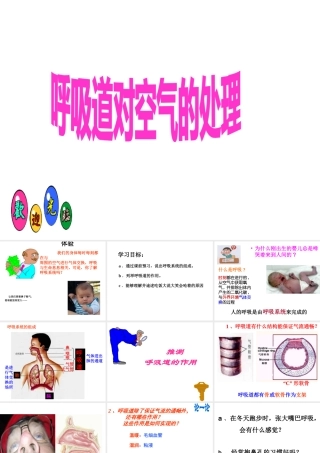 安徽省合肥市长丰县七年级生物下册 4.3.1 呼吸道对空气的处理课件2 （新版）新人教版-（新版）新人教版初中七年级下册生物课件