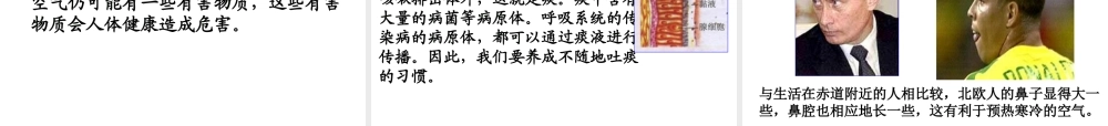 安徽省合肥市长丰县七年级生物下册 4.3.1 呼吸道对空气的处理课件4 （新版）新人教版-（新版）新人教版初中七年级下册生物课件