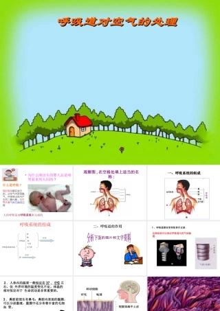 安徽省合肥市长丰县七年级生物下册 4.3.1 呼吸道对空气的处理课件4 （新版）新人教版-（新版）新人教版初中七年级下册生物课件