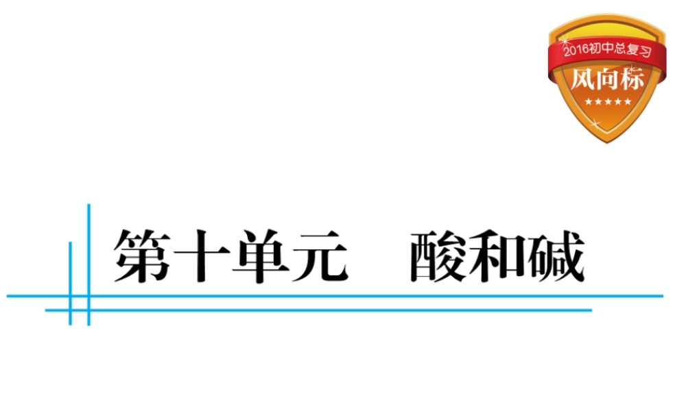 （云南专用）中考化学总复习 第十单元 酸和碱课件-人教版初中九年级全册化学课件