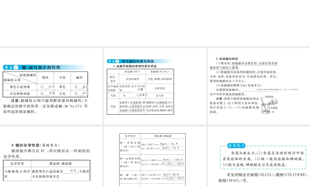 （云南专用）中考化学总复习 第十单元 酸和碱课件-人教版初中九年级全册化学课件