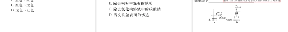（云南专用）中考化学总复习 第十单元 酸和碱课件-人教版初中九年级全册化学课件