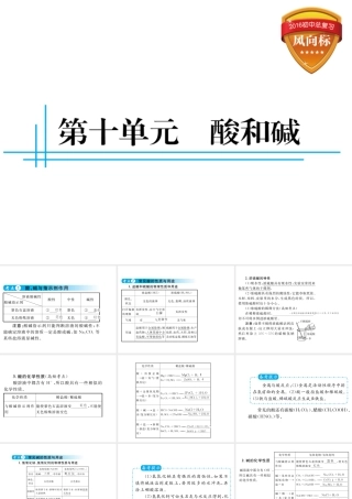 （云南专用）中考化学总复习 第十单元 酸和碱课件-人教版初中九年级全册化学课件