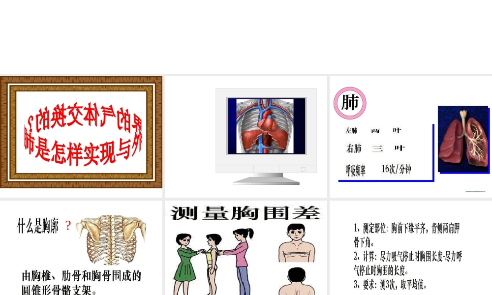 安徽省合肥市长丰县七年级生物下册 4.3.2《发生在肺内的气体交换》课件1 （新版）新人教版-（新版）新人教版初中七年级下册生物课件