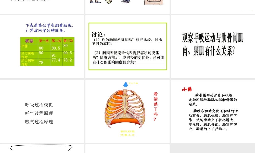 安徽省合肥市长丰县七年级生物下册 4.3.2《发生在肺内的气体交换》课件1 （新版）新人教版-（新版）新人教版初中七年级下册生物课件