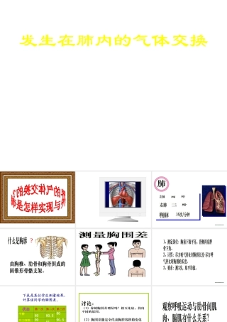 安徽省合肥市长丰县七年级生物下册 4.3.2《发生在肺内的气体交换》课件1 （新版）新人教版-（新版）新人教版初中七年级下册生物课件