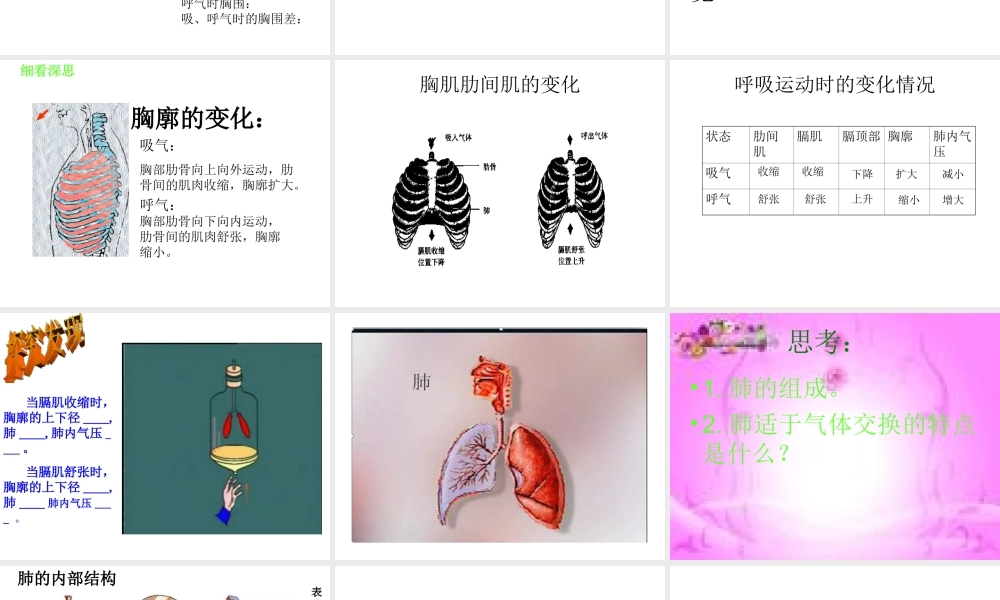 安徽省合肥市长丰县七年级生物下册 4.3.2《发生在肺内的气体交换》课件2 （新版）新人教版-（新版）新人教版初中七年级下册生物课件