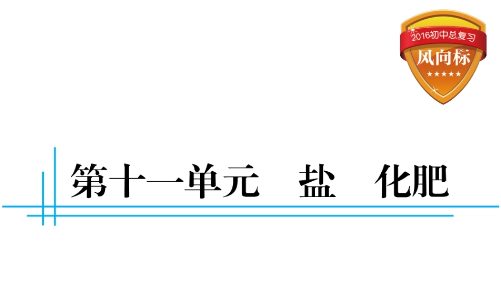 （云南专用）中考化学总复习 第十一单元 盐 化肥课件-人教版初中九年级全册化学课件