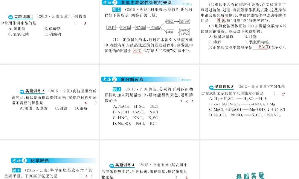 （云南专用）中考化学总复习 第十一单元 盐 化肥课件-人教版初中九年级全册化学课件