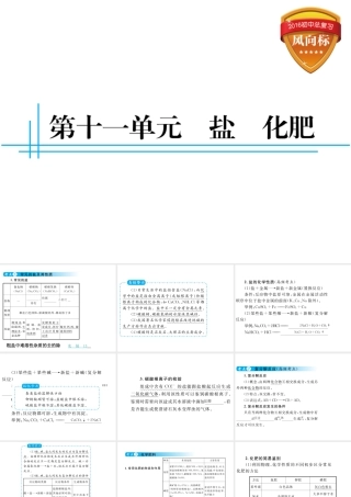 （云南专用）中考化学总复习 第十一单元 盐 化肥课件-人教版初中九年级全册化学课件