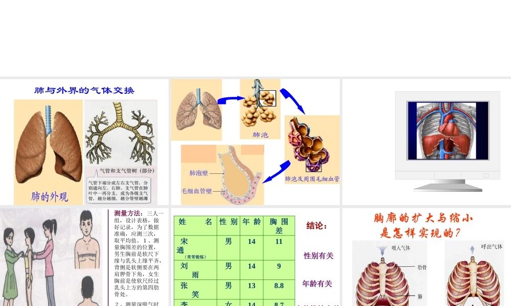 安徽省合肥市长丰县七年级生物下册 4.3.2《发生在肺内的气体交换》课件3 （新版）新人教版-（新版）新人教版初中七年级下册生物课件