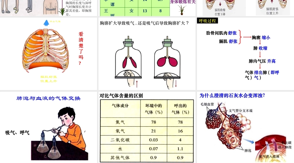 安徽省合肥市长丰县七年级生物下册 4.3.2《发生在肺内的气体交换》课件3 （新版）新人教版-（新版）新人教版初中七年级下册生物课件