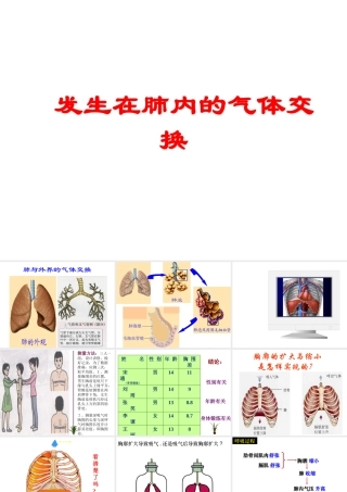 安徽省合肥市长丰县七年级生物下册 4.3.2《发生在肺内的气体交换》课件3 （新版）新人教版-（新版）新人教版初中七年级下册生物课件