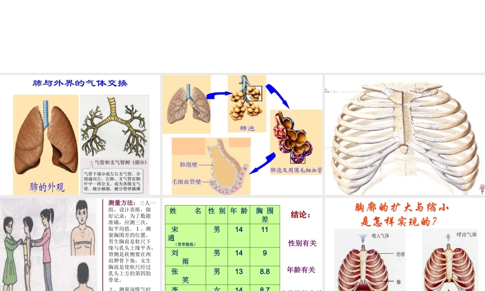 安徽省合肥市长丰县七年级生物下册 4.3.2《发生在肺内的气体交换》课件4 （新版）新人教版-（新版）新人教版初中七年级下册生物课件