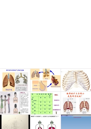 安徽省合肥市长丰县七年级生物下册 4.3.2《发生在肺内的气体交换》课件4 （新版）新人教版-（新版）新人教版初中七年级下册生物课件