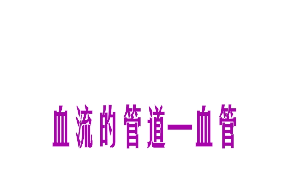 安徽省合肥市长丰县七年级生物下册 4.4.2《血流的管道—血管》课件1 （新版）新人教版-（新版）新人教版初中七年级下册生物课件