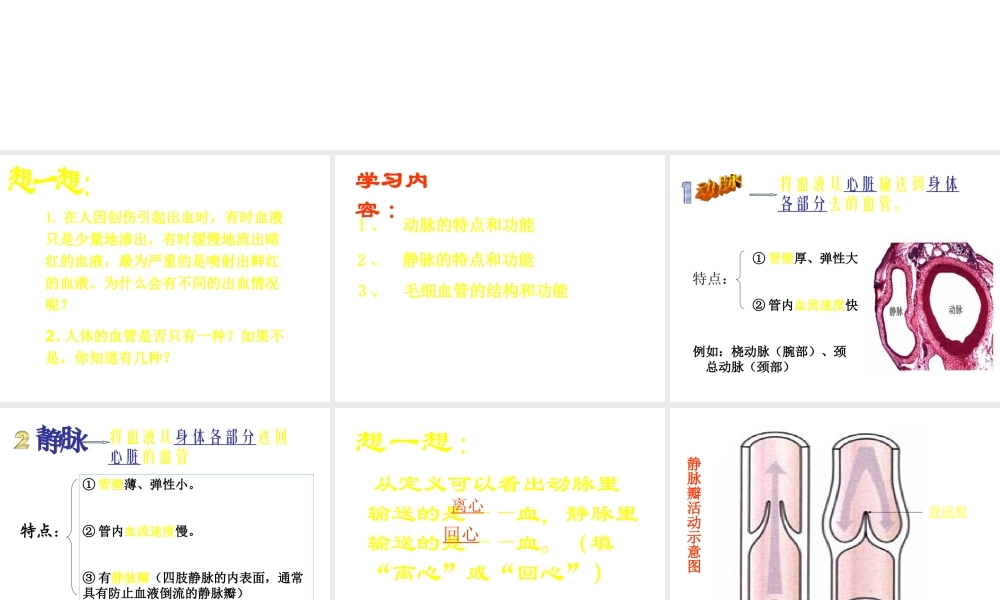 安徽省合肥市长丰县七年级生物下册 4.4.2《血流的管道—血管》课件1 （新版）新人教版-（新版）新人教版初中七年级下册生物课件