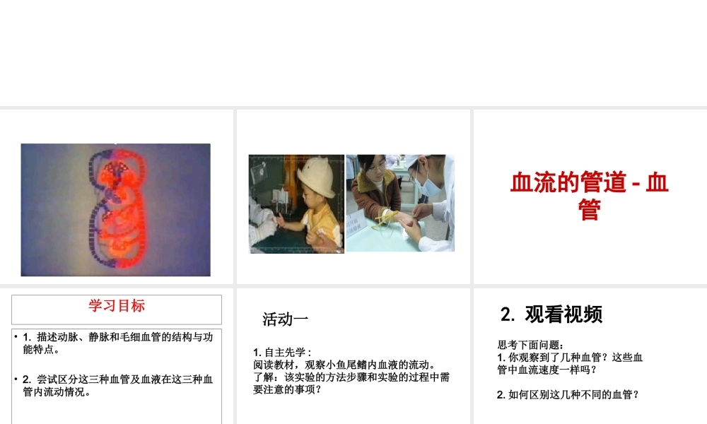 安徽省合肥市长丰县七年级生物下册 4.4.2《血流的管道—血管》课件2 （新版）新人教版-（新版）新人教版初中七年级下册生物课件