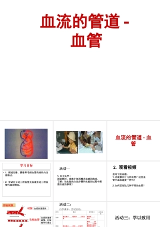 安徽省合肥市长丰县七年级生物下册 4.4.2《血流的管道—血管》课件2 （新版）新人教版-（新版）新人教版初中七年级下册生物课件
