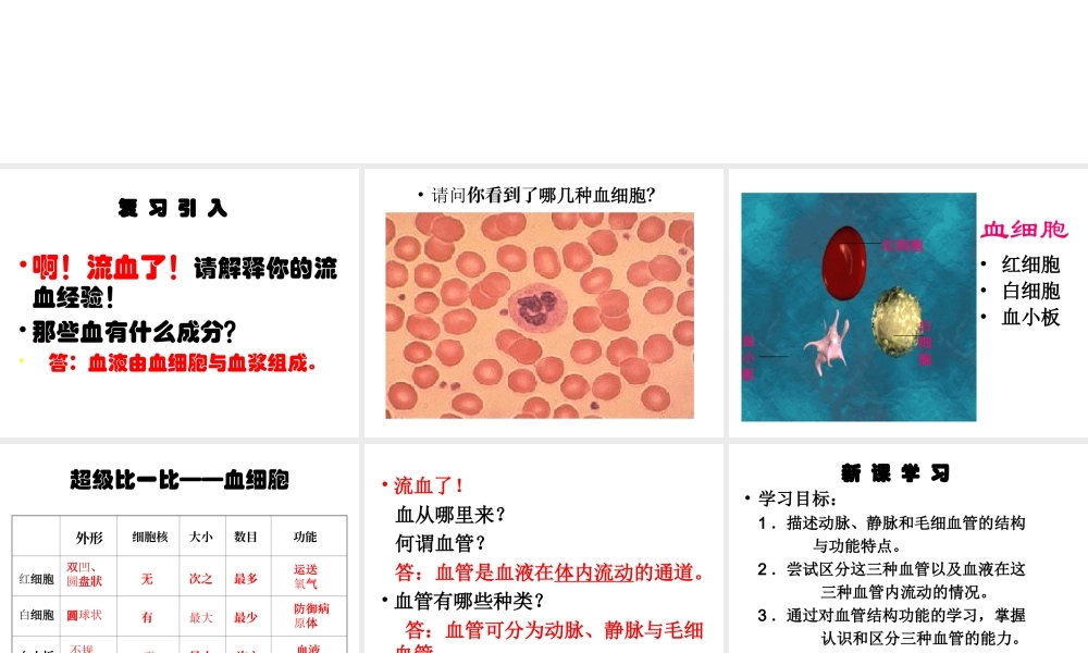 安徽省芜湖市芜湖县湾沚镇三元初级中学七年级生物下册 第二节 血流的管道--血管课件 新人教版