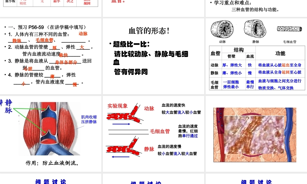 安徽省芜湖市芜湖县湾沚镇三元初级中学七年级生物下册 第二节 血流的管道--血管课件 新人教版