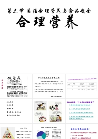 安徽省芜湖市芜湖县湾沚镇三元初级中学七年级生物下册 第三节 关注合理营养与食品安全课件 新人教版