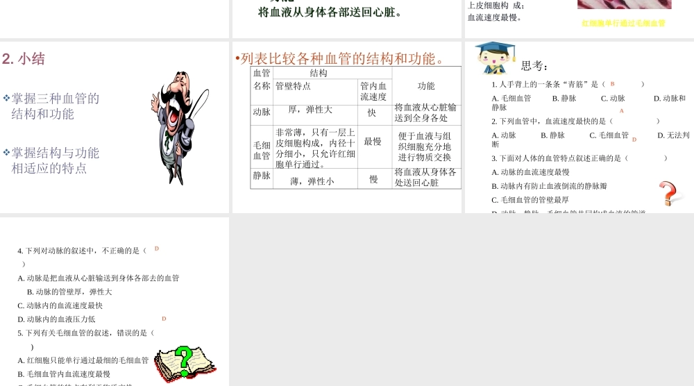 安徽省合肥市长丰县七年级生物下册 4.4.2《血流的管道—血管》课件3 （新版）新人教版-（新版）新人教版初中七年级下册生物课件