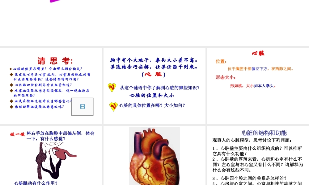 安徽省芜湖市芜湖县湾沚镇三元初级中学七年级生物下册 第三节 输送血液的泵--心脏课件 新人教版