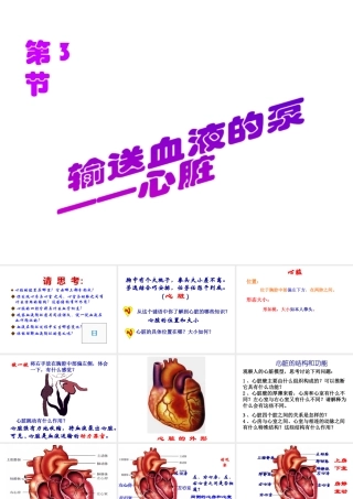 安徽省芜湖市芜湖县湾沚镇三元初级中学七年级生物下册 第三节 输送血液的泵--心脏课件 新人教版
