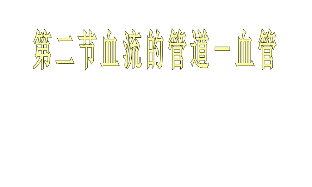 安徽省合肥市长丰县七年级生物下册 4.4.2《血流的管道—血管》课件4 （新版）新人教版-（新版）新人教版初中七年级下册生物课件