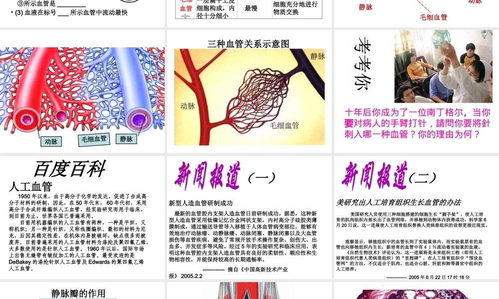 安徽省合肥市长丰县七年级生物下册 4.4.2《血流的管道—血管》课件4 （新版）新人教版-（新版）新人教版初中七年级下册生物课件