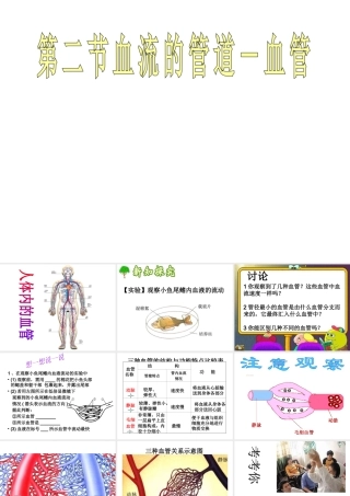 安徽省合肥市长丰县七年级生物下册 4.4.2《血流的管道—血管》课件4 （新版）新人教版-（新版）新人教版初中七年级下册生物课件
