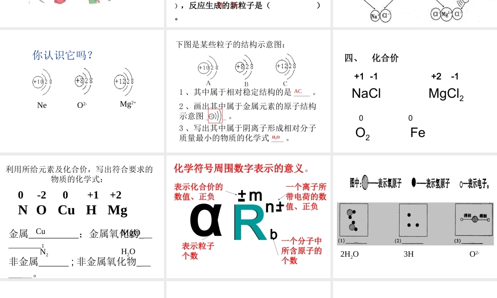 （云南专用）中考化学总复习 化学用语课件-人教版初中九年级全册化学课件