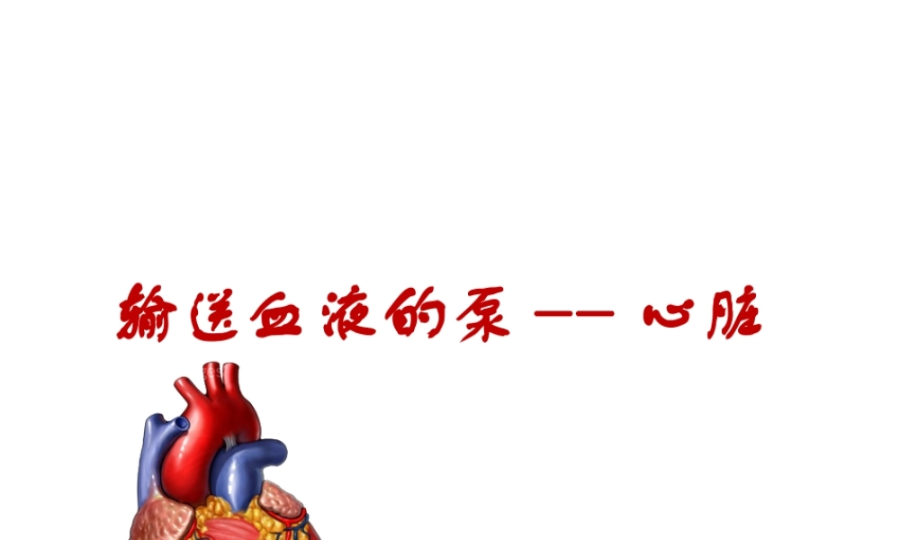 安徽省合肥市长丰县七年级生物下册 4.4.3 输送血液的泵 心脏课件1 （新版）新人教版-（新版）新人教版初中七年级下册生物课件