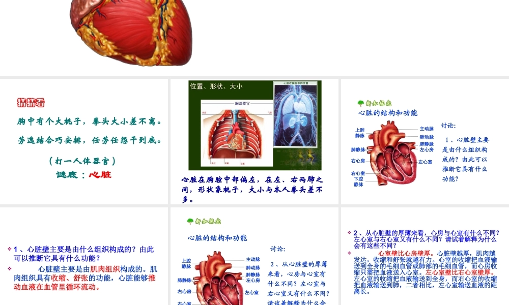 安徽省合肥市长丰县七年级生物下册 4.4.3 输送血液的泵 心脏课件1 （新版）新人教版-（新版）新人教版初中七年级下册生物课件