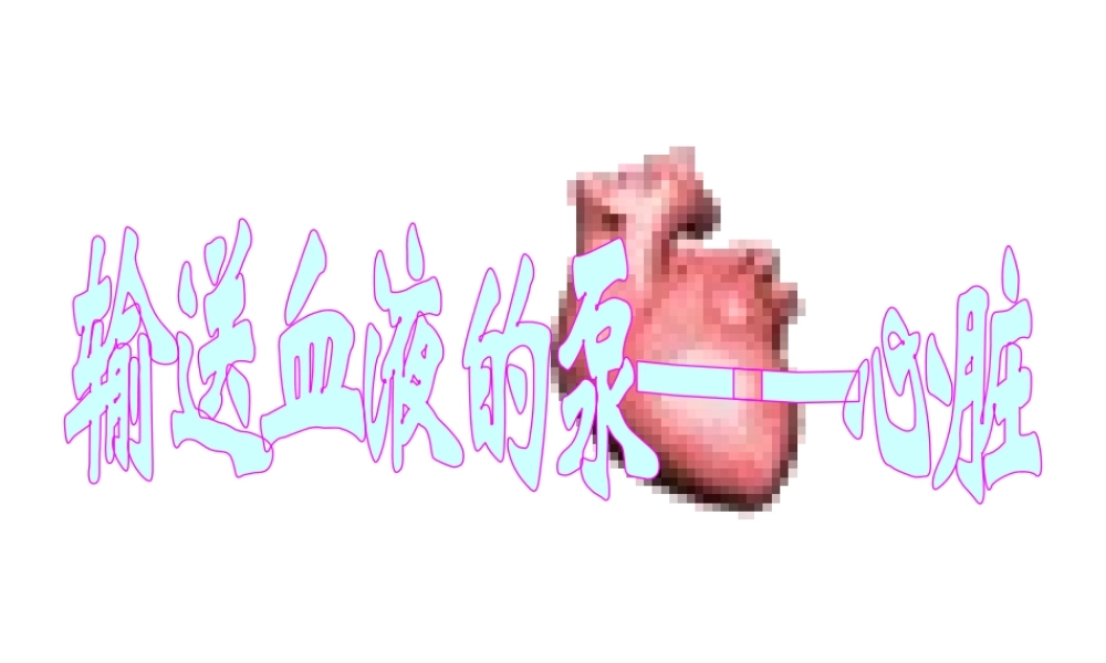 安徽省合肥市长丰县七年级生物下册 4.4.3 输送血液的泵 心脏课件2 （新版）新人教版-（新版）新人教版初中七年级下册生物课件