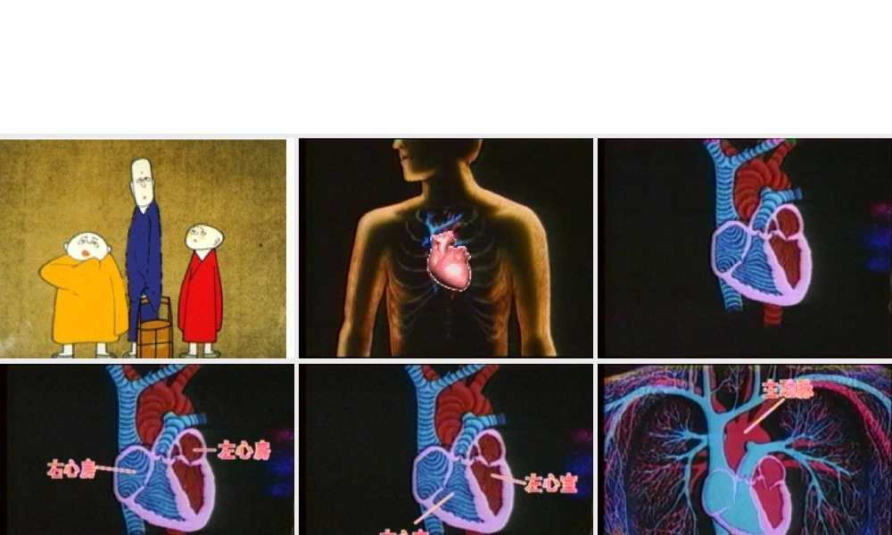 安徽省合肥市长丰县七年级生物下册 4.4.3 输送血液的泵 心脏课件2 （新版）新人教版-（新版）新人教版初中七年级下册生物课件