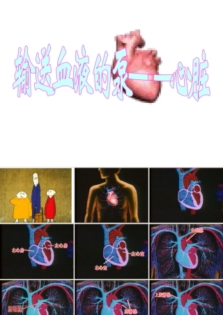 安徽省合肥市长丰县七年级生物下册 4.4.3 输送血液的泵 心脏课件2 （新版）新人教版-（新版）新人教版初中七年级下册生物课件
