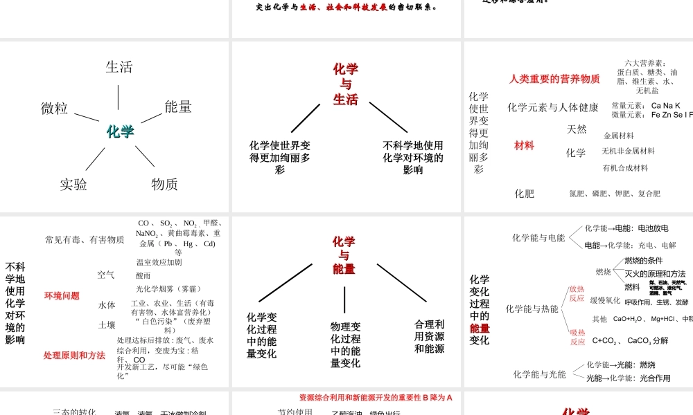 安徽省芜湖市中考化学教学研讨会复习 支架式教学在化学复习中的应用课件-人教版初中九年级全册化学课件