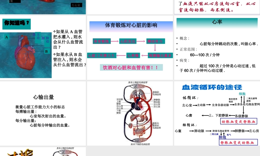 安徽省合肥市长丰县七年级生物下册 4.4.3 输送血液的泵 心脏课件3 （新版）新人教版-（新版）新人教版初中七年级下册生物课件