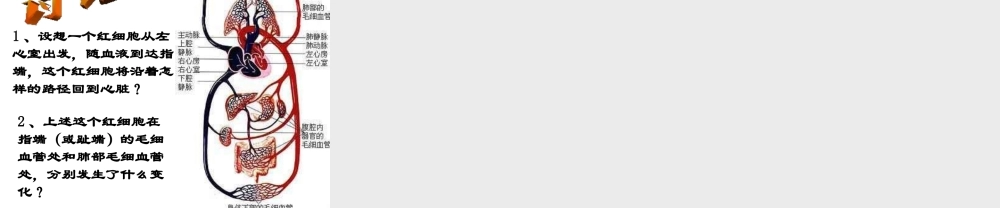 安徽省合肥市长丰县七年级生物下册 4.4.3 输送血液的泵 心脏课件3 （新版）新人教版-（新版）新人教版初中七年级下册生物课件